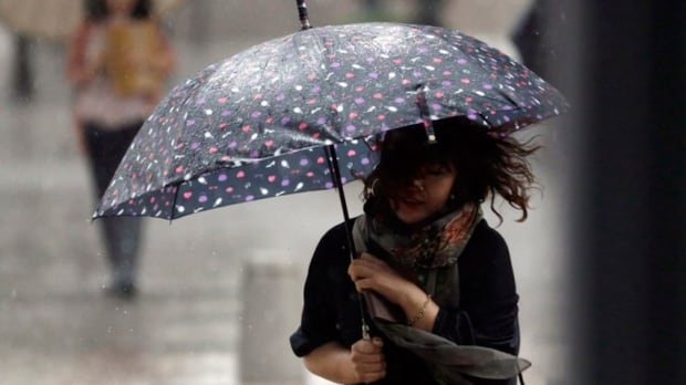Wind gusts up to 90 km/h expected as Environment Canada issues wind warning for Hamilton and area