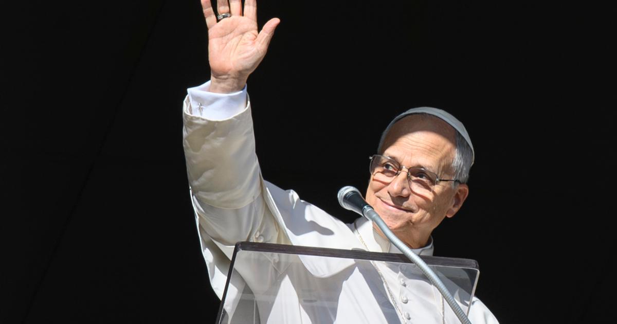 Families fostering Gospel values provide hope in dark world, Pope Leo says