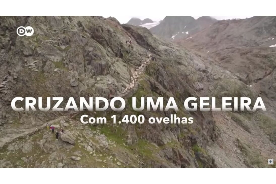 pastores nos Alpes do Tirol do Sul mantêm transumância alpina reconhecida como patrimônio mundial da UNESCO e mostram como pastores enfrentam gelo e lobos.