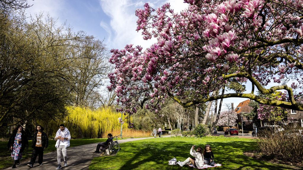 2025 relatief warm in Nederland, maar minder dan recordwarme jaren ervoor