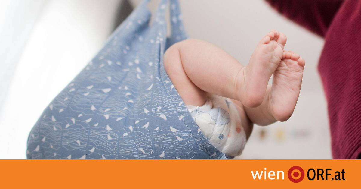 40 Prozent der Neugeborenen nicht Österreicher