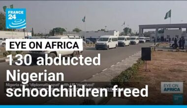 Freed Nigerian schoolchildren handed over to government • FRANCE 24 English