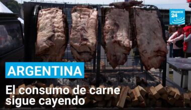 Argentina: en el país de la carne vacuna, el consumo de carne va en picada • FRANCE 24 Español