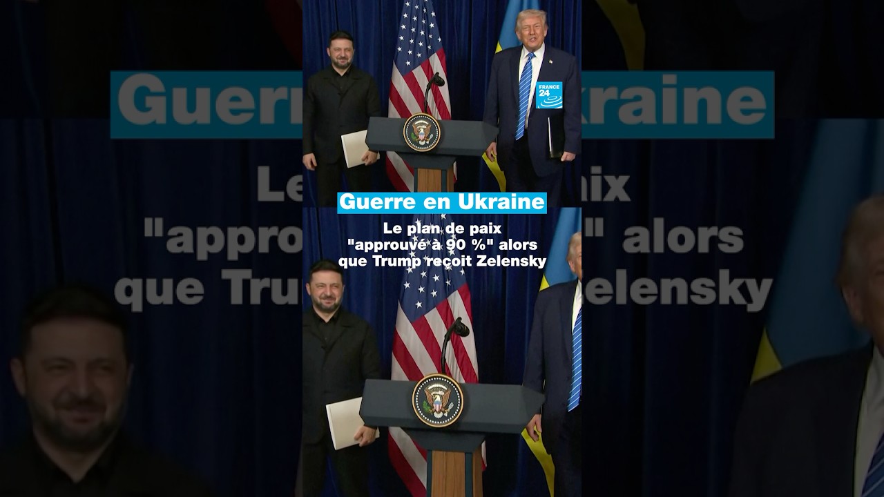 Ukraine : le plan de paix "approuvé à 90 %" alors que Trump reçoit Zelensky • FRANCE 24