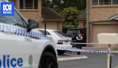 Woman critically injured in alleged domestic violence attack in Sydney's south-west