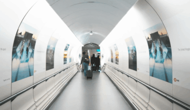 Calls Grow for Emergency UK Census as Migration Surge Sparks Fears Over Housing and Services