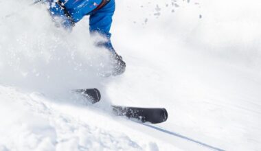 Avalanche in Spanish Pyrenees kills three skiers