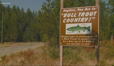 Environmental groups sue over marina, housing project near Trestle Creek