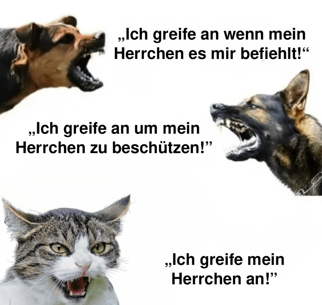 ich😾iel