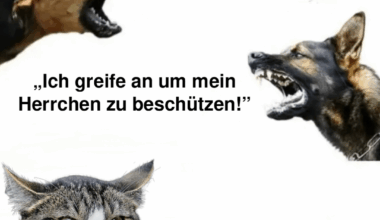 ich😾iel
