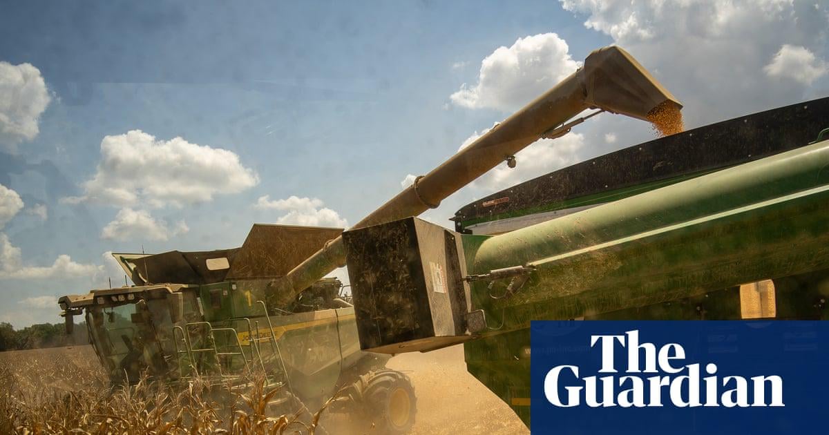 The environmental costs of corn: should the US change how it grows its dominant crop? | Amid concerns over greenhouse gas emissions, the Trump administration has abolished climate-friendly farming incentives