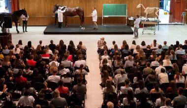 Le Royaume-Uni va réintégrer Erasmus en 2027