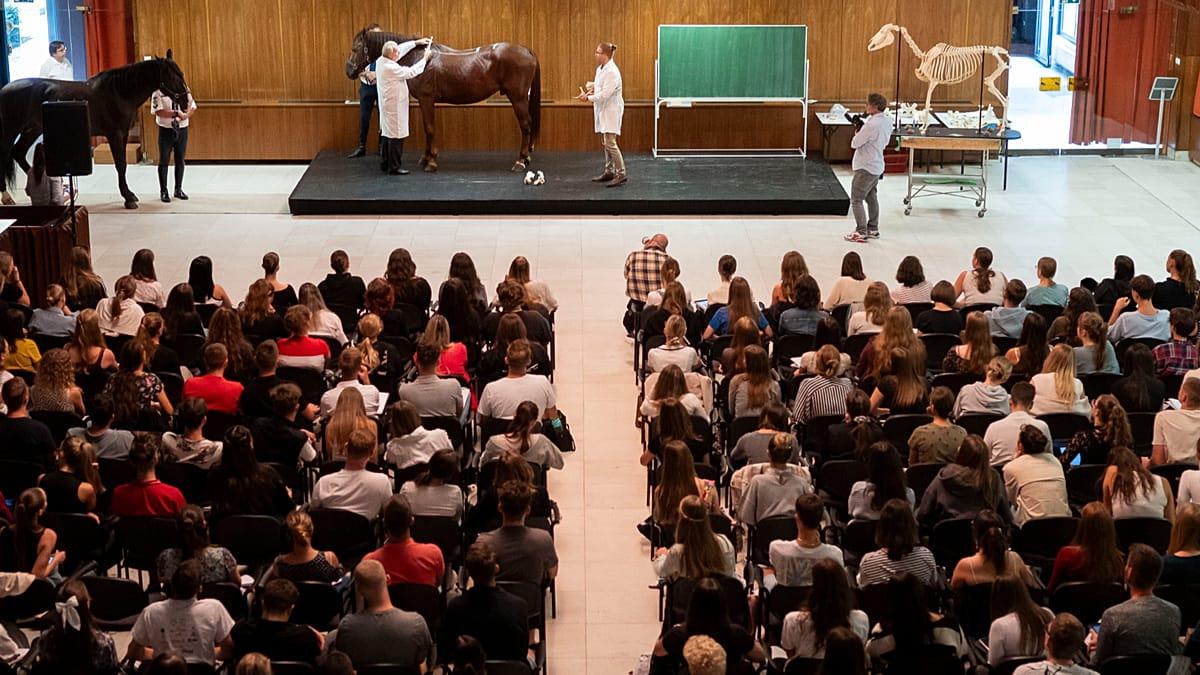 Le Royaume-Uni va réintégrer Erasmus en 2027