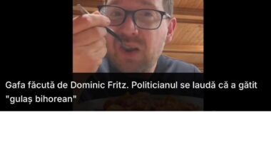 Ar trebui să își dea demisia pentru derapaj?