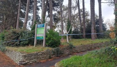 Failed asylum seeker denies rape of woman in Bournemouth