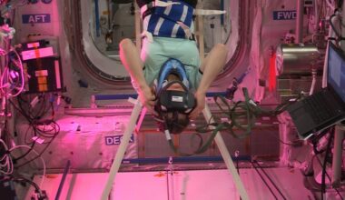 Romanian Film Review - Not just sarmale: eclectic holidays viewings