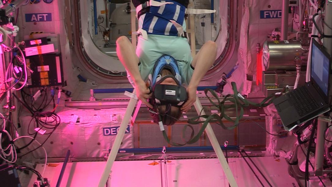 Romanian Film Review - Not just sarmale: eclectic holidays viewings