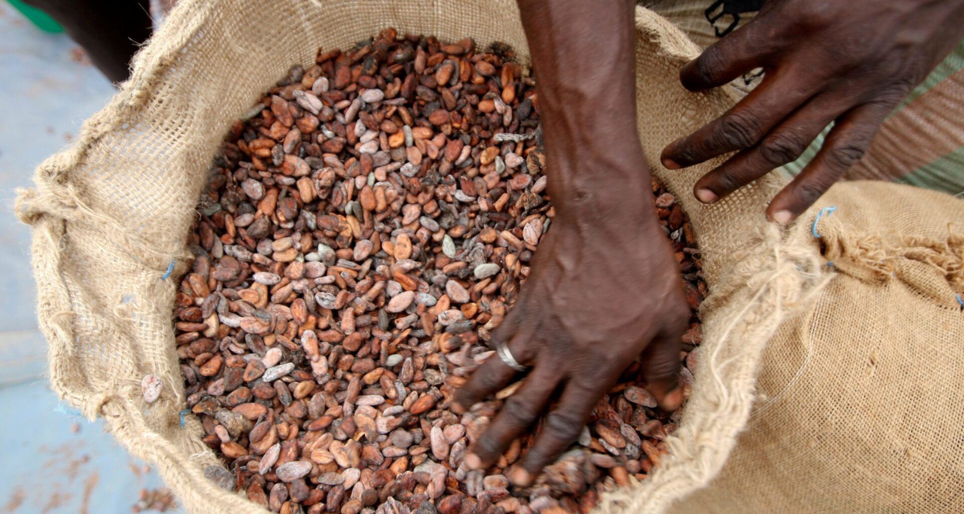 cocoa bean shipment