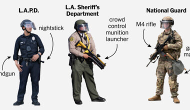 How Many Law Enforcement Agencies Are Involved in LA Immigration Protests?