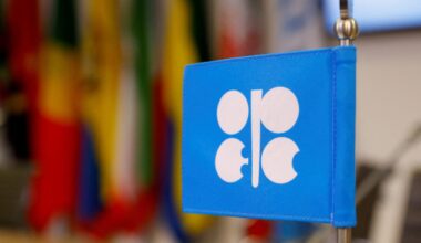 The logo of the Organization of the Petroleum Exporting Countries (OPEC) is seen inside its headquarters in Vienna