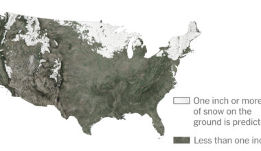 Will You Have a White Christmas in 2025?