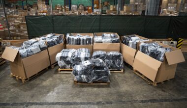 Ein größerer Fang ist den Beamten im November gelungen. Die Möbellieferung ging tatsächlich an den Empfänger – allerdings ohne das Cannabis.