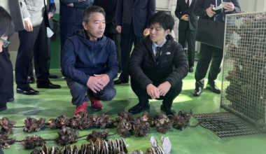 Japan issues emergency support package after massive oyster die-off in key region