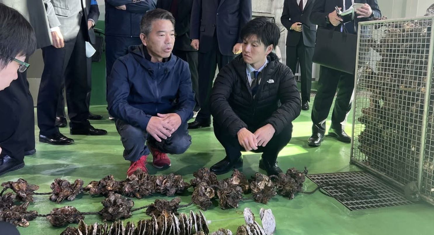 Japan issues emergency support package after massive oyster die-off in key region