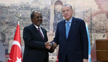 la reconnaissance par Israël est « illégitime et inacceptable », affirme le président turc Erdogan