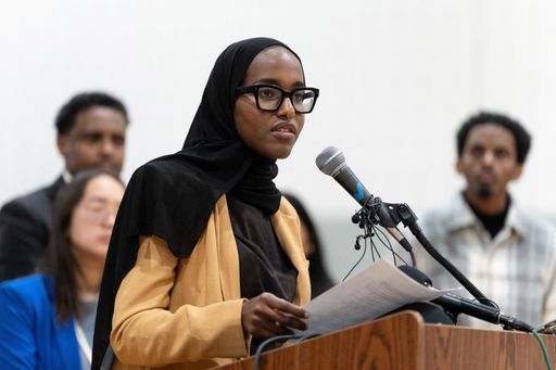 US admin uses fraud scandal to justify immigration raids on Minnesota’s Somali community