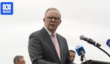 Anthony Albanese and Sussan Ley release Christmas messages in wake of Bondi attack