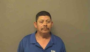 Man asks for immigration to ‘take him away’ after allegedly stabbing man at Oaklawn stables