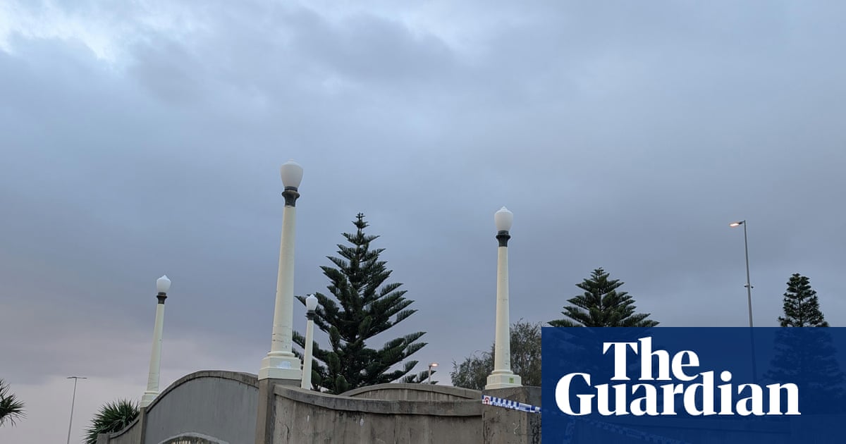 A key piece of Port Arthur-era gun reform remains unfinished. Could it have helped prevent the Bondi attack? | Gun control