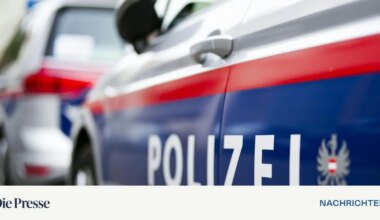 Untersuchungshaft für Stiefvater in Wien – DiePresse.com