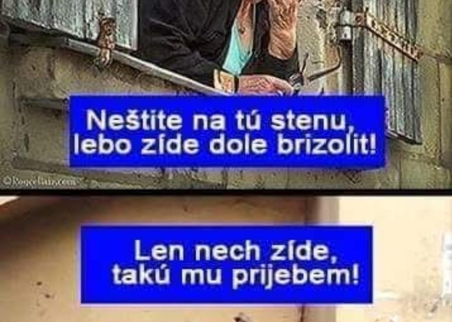 Trošku oddýchnuť od politiky ha