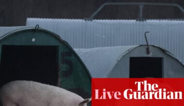 Ministers defend ‘most ambitious animal welfare strategy in generation’ before publication – UK politics live | Politics