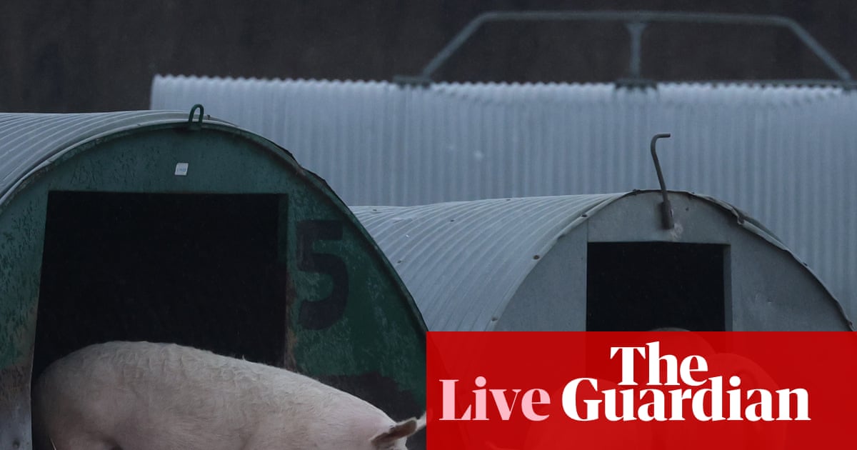 Ministers defend ‘most ambitious animal welfare strategy in generation’ before publication – UK politics live | Politics