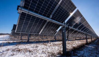 The sun shines in between solar panels Friday, Jan. 24, 2025, in Union Grove, Wis. Angela Major/WPR