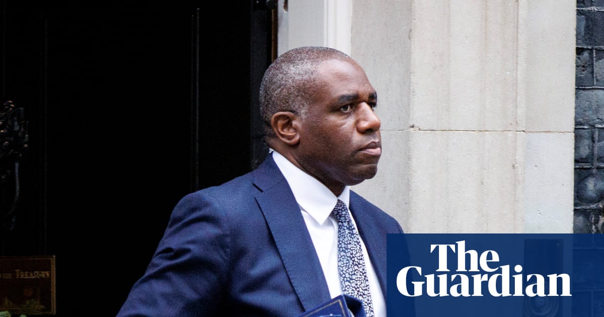 Palestine Action-linked hunger strikers ‘may die without Lammy’s intervention’ | UK news