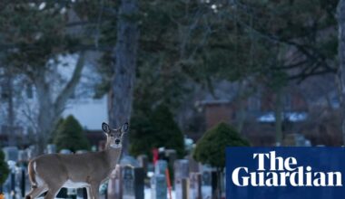 Weather tracker: Deep freeze grips Canada as US records warmest Christmas | Canada