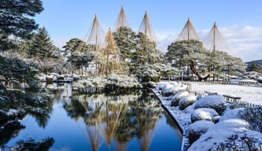 Yukizuri: A Traditional Technique for Protecting Trees in Winter