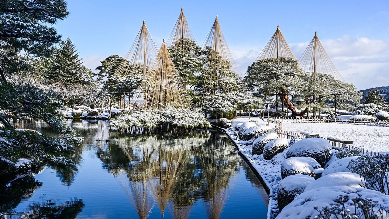 Yukizuri: A Traditional Technique for Protecting Trees in Winter