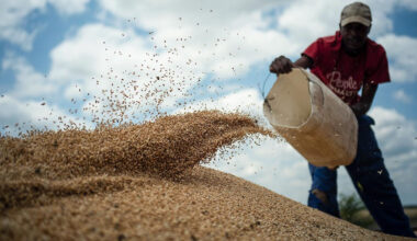 Moldova Ends Licensing Regime for Grain Imports From Ukraine