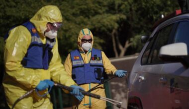 Laboratory leak may have caused swine flu outbreak in Spain