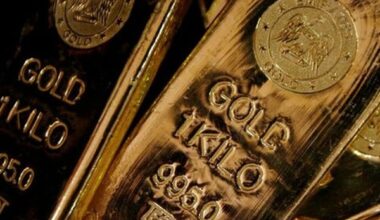 Central bank body BIS raises concerns of gold and stocks double bubble