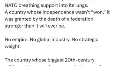 Chinese opinion on Slovenia