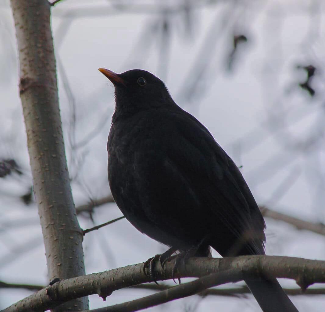 Mein bestes Foto dieser Woche