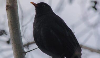 Mein bestes Foto dieser Woche