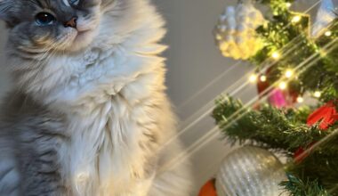 Pánko Vám všetkým praje šťastné a veselé