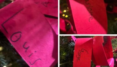 The Wales children wrote their names on links of red paper and added it to the ‘connection tree’ outside Westminster Abbey tonight to symbolise togetherness